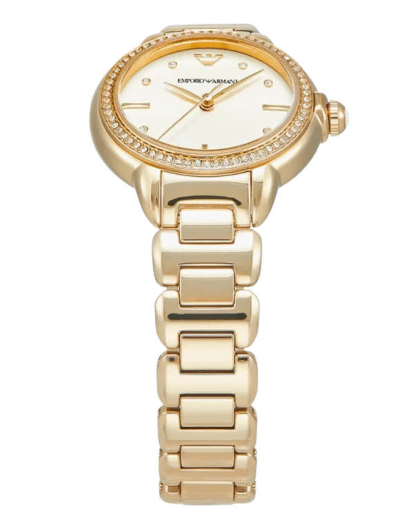 Montre EMPORIO ARMANI Pour Femme AR11609