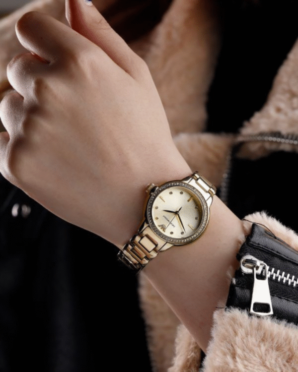 Montre EMPORIO ARMANI Pour Femme AR11609
