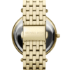 Montre Femme Michael Kors Darci MK3430