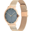 Montre Femme Tommy Hilfiger Pippa Réf. 1782669