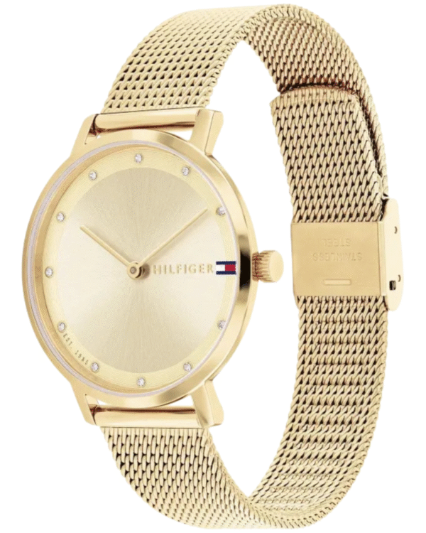 Montre Femme Tommy Hilfiger Pippa 1782728 en Acier Inoxydable Doré