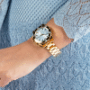 Montre Guess Femme Phoebe GW0696L2