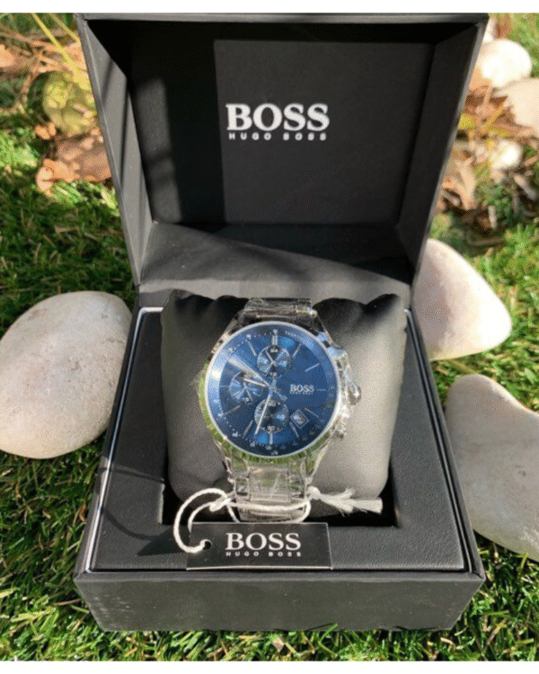 Montre Hugo Boss Pour Homme 1513818