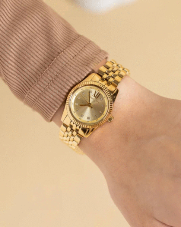 Montre Femme Michael Kors MK4741